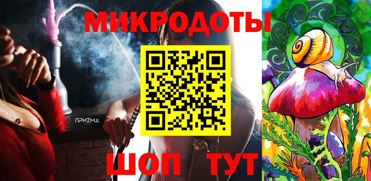 Псилоцибиновые грибы Psilocybine cubensis Муром