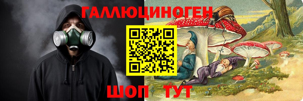 Псилоцибиновые грибы Psilocybe  Вход с VPN  Муром  Галлюциногенные грибы прущие грибы 
